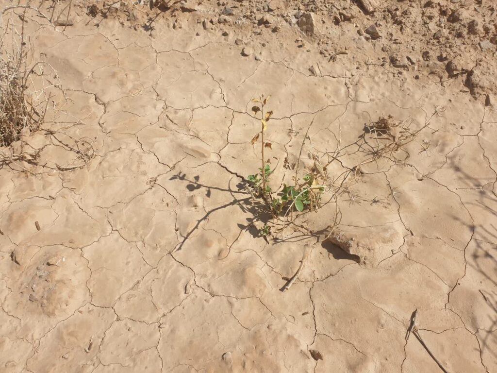 photo27865421189